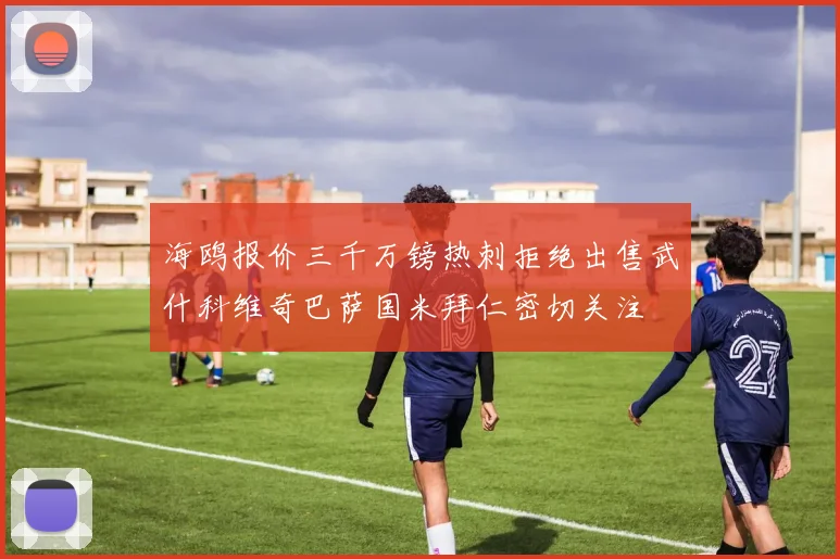 海鸥报价三千万镑热刺拒绝出售武什科维奇巴萨国米拜仁密切关注