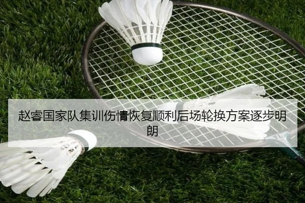 赵睿国家队集训伤情恢复顺利后场轮换方案逐步明朗 - LeyuSports